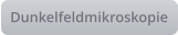 Dunkelfeldmikroskopie