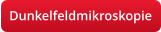 Dunkelfeldmikroskopie